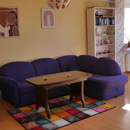 Grosszugige Wohnung Mit Herkulesblick Nahe Uni Kassel Luaran gambar