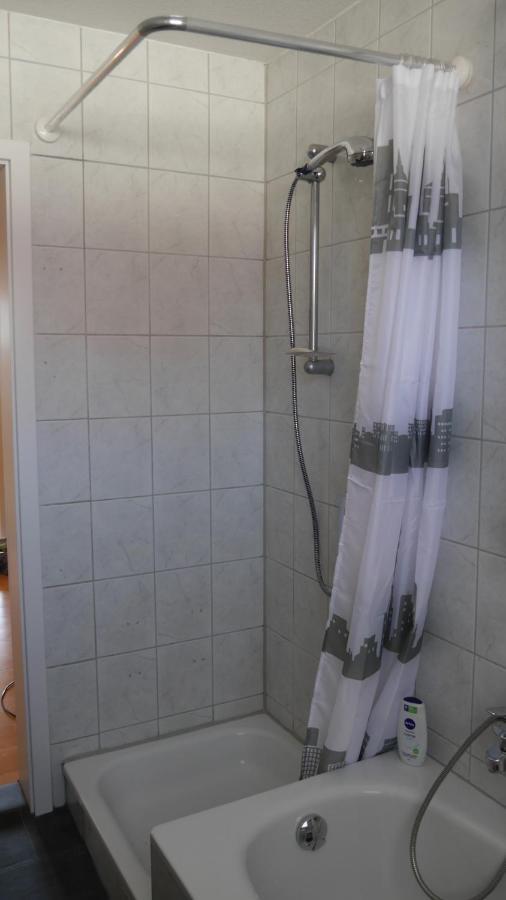 Grosszugige Wohnung Mit Herkulesblick Nahe Uni Kassel Luaran gambar